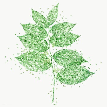 Glittery king solomon's seal sticker overlay design element  | Free  transparent png - 2366449