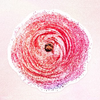 Glittery pink ranunculus flower sticker overlay with a white border de.. | Free  illustration - 2350039