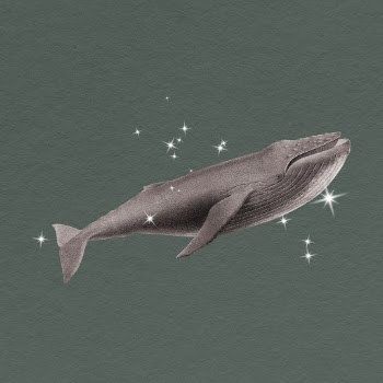 Glittery whale, surreal clipart, animal | Free Photo - rawpixel