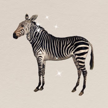 Glittery zebra clipart, surreal animal | Free Photo - rawpixel