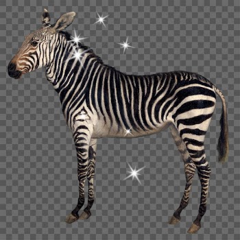 Glittery zebra png sticker, surreal | Free PNG - rawpixel