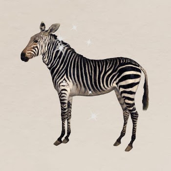 Glittery zebra sticker, surreal animal | Free Vector - rawpixel