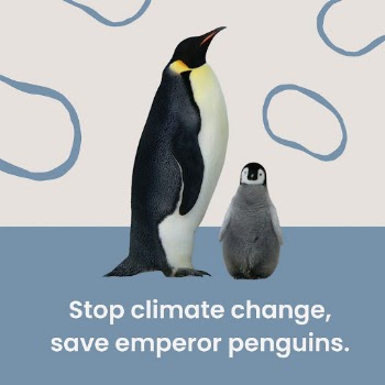 Global warming Facebook post template | Free PSD Template - rawpixel