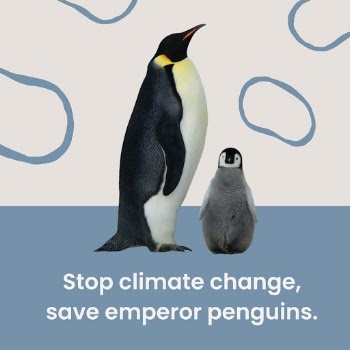 Global warming Instagram post template | Free Vector Template - rawpixel