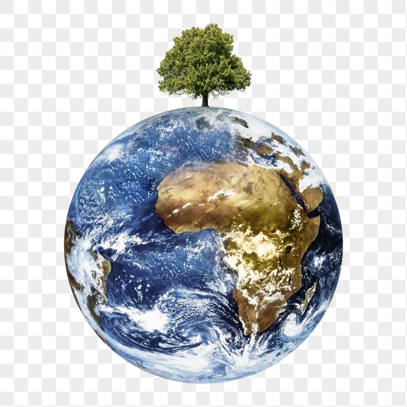 Globe surface png sticker, environment | Free PNG - rawpixel