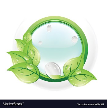 Glossy button vector image