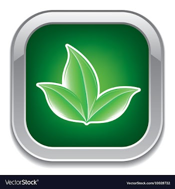 Glossy button vector image
