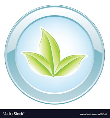 Glossy button vector image