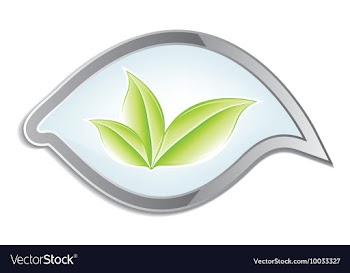 Glossy button vector image