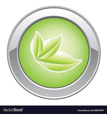 Glossy button vector image