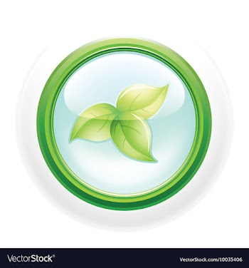 Glossy button vector image