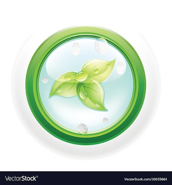Glossy button vector image