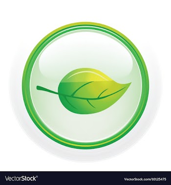 Glossy button vector image