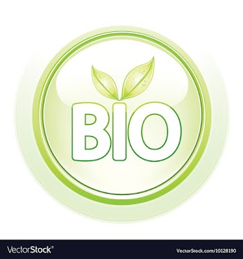 Glossy button vector image