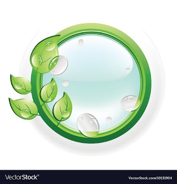 Glossy button vector image