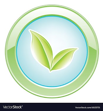 Glossy button vector image