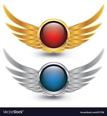 Glossy button with wings vector image