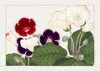 Gloxinia flower, Japanese woodblock art | Free Photo Illustration - rawpixel
