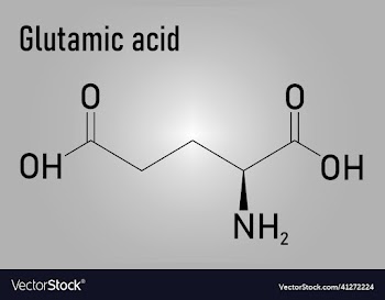 glutamic acid molecule skeletal formula