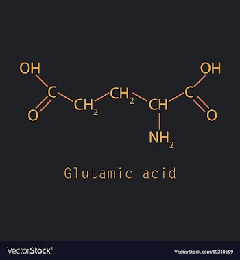 Glutamic amino acid molecule vector image