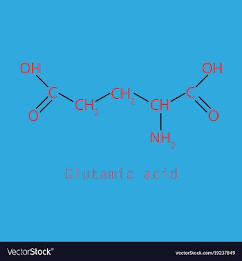 Glutamic amino acid molecule vector image