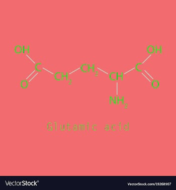 Glutamic amino acid molecule vector image
