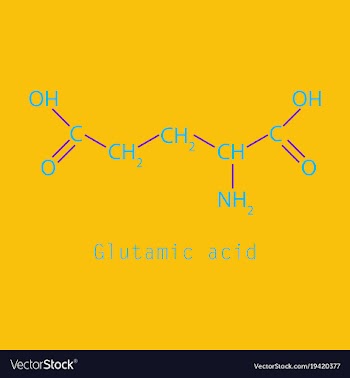 Glutamic amino acid molecule vector image