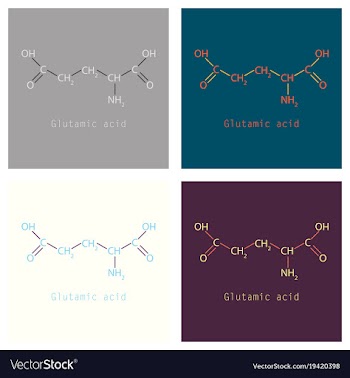Glutamic amino acid molecule vector image