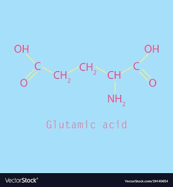 Glutamic amino acid molecule vector image