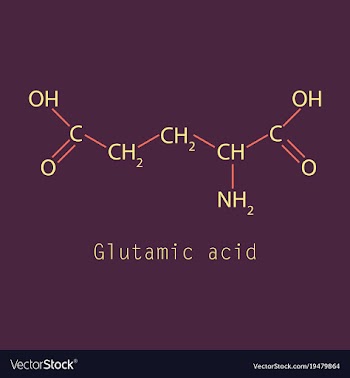 Glutamic amino acid molecule vector image