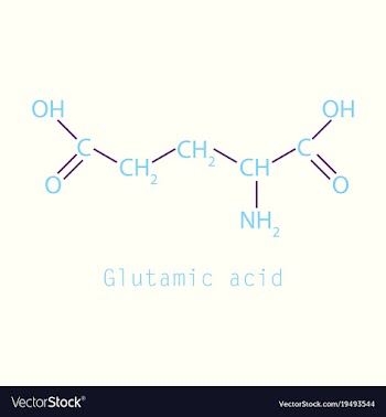 Glutamic amino acid molecule vector image