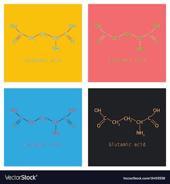 Glutamic amino acid molecule vector image