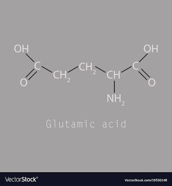 Glutamic amino acid molecule vector image