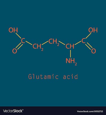 Glutamic amino acid molecule vector image