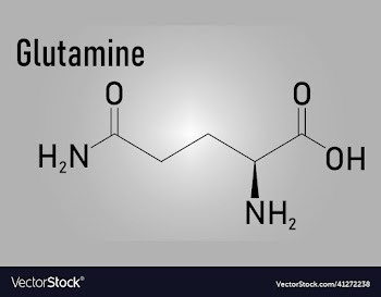 glutamine amino acid molecule skeletal formula