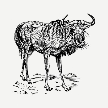 Gnu clipart, vintage animal illustration | Free PSD Illustration - rawpixel