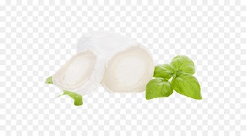 Goat cheese Goat milk - milk 