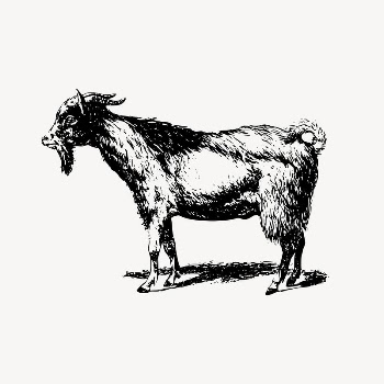 Goat clipart, farm animal illustration | Free Vector Illustration - rawpixel