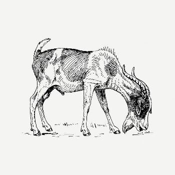 Goat collage element, black & | Free PSD Illustration - rawpixel