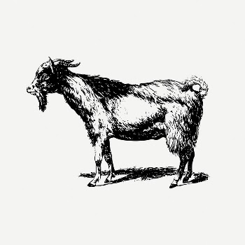 Goat collage element, farm animal | Free PSD Illustration - rawpixel