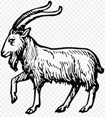 Goat, Complete Guide To Heraldry, Sheep, Goats, Vertebrate PNG