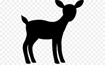 Goat, Donkey, Black White M, Mammal, Animal Figure PNG