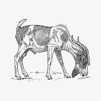 Goat grazing illustration clipart vector. | Free Vector - rawpixel
