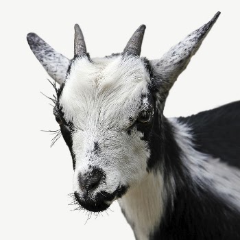Goat head collage element, isolated | Free PSD - rawpixel