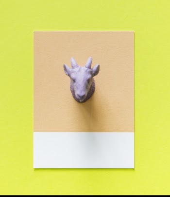 Goat Head Decor Illustration