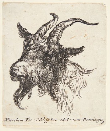 Goat's head facing left | Free Photo - rawpixel