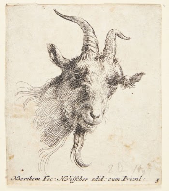 Goat's head facing right | Free Photo - rawpixel