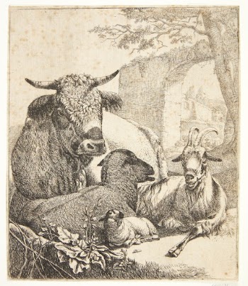 Goat, sheep and lamb, t.v. | Free Photo - rawpixel