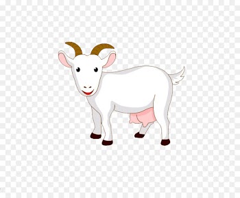 Goat Sheep Cattle Milk Clip art - White goat 