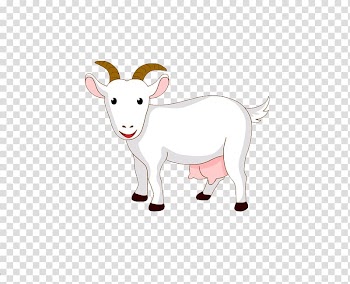 Goat Sheep Cattle Milk , White goat transparent background PNG clipart